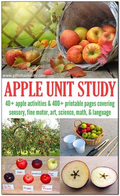 an advertisement for apple unit study with pictures of apples in baskets and on the table