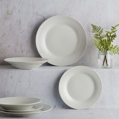 four white plates and two vases with green plants on the wall in front of them