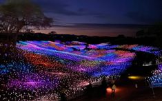 many people are walking around with lights all over the ground and trees in the background