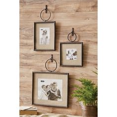 three pictures hanging on the wall with metal rings around them and a potted plant next to it