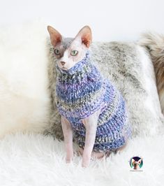 a cat in a sweater sitting on a fluffy white blanket next to a furry pillow