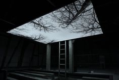 an empty room with stairs leading up to the ceiling and trees growing out of it