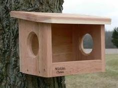 a bird house built into the side of a tree in front of a grassy field