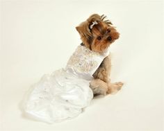 Custom Beaded Wedding Gown with Vintage Lace - Posh Puppy Boutique Pet Outfits, Puppy Wedding, Wedding Dogs, Dog Wedding Outfits, Dog Wedding Attire, Jasmine Wedding, Vintage Chic Wedding, Beaded Wedding Gowns, Flower Dog