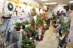 a room filled with lots of potted plants