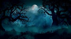 an image of a dark forest at night with the moon in the sky and trees