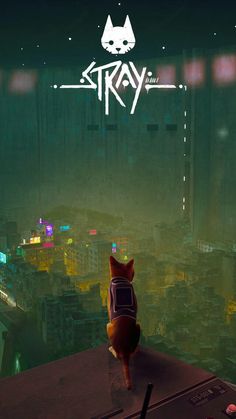 a cat sitting on top of a table in front of a cityscape with the word stray above it