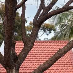 a red tiled roof with trees in the foreground and blue sky in the background