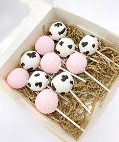 six cake pops decorated with black and white cow print on them in a cardboard box