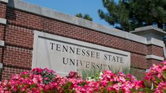 flowers are blooming in front of the tennessee state university sign and brick building entrance