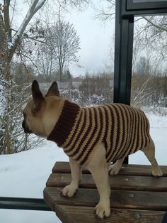 a small dog wearing a sweater on top of a wooden bench