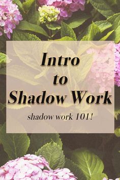 the words into to shadow work in front of purple and green hydrangeas with leaves