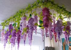 purple and green flowers hanging from the ceiling