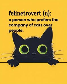 a black cat with green eyes peeking out from behind a yellow sign that says felinetrovet n