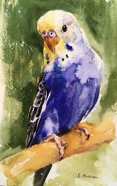 a watercolor painting of a blue parakeet perched on a branch with green background