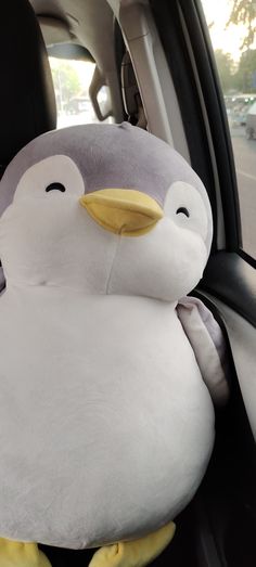 a stuffed penguin sitting in the back seat of a car