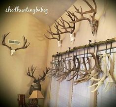 antlers are hanging on the wall in front of a window with curtains and lamps