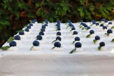 a cake with white frosting and blueberries on top is sitting in front of some trees