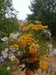 a vase filled with yellow and white flowers on top of a dirt road next to trees