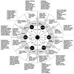 The clock of the organs, according to Chinese medicine. Organ Clock, Ayurvedic Cooking, Acupuncture Charts, Meridian Points, Energy Therapy, Health Heal, Alternative Healing