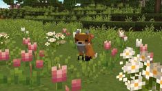 a fox standing in the middle of a field full of flowers