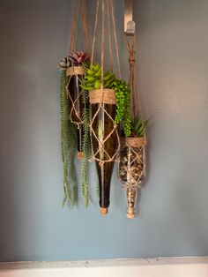 three hanging planters with plants in them