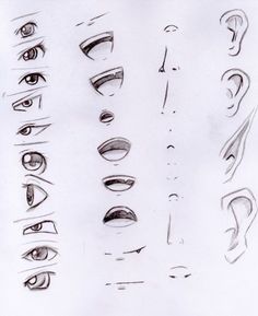 a drawing of different types of eyes