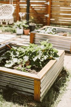 an outdoor garden area with raised wooden planters