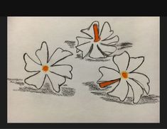 three white flowers with orange centers in the middle