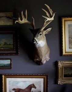 a deer's head mounted on the wall next to framed pictures