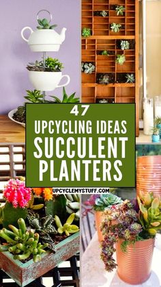 several different types of succulents in pots with the words upcycling ideas for succulent planters