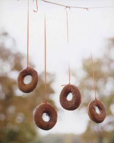 three doughnuts hanging from strings in front of trees