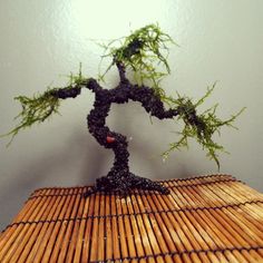 a small bonsai tree sitting on top of a bamboo mat