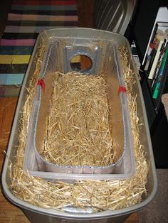 a plastic container filled with hay sitting on top of a wooden table