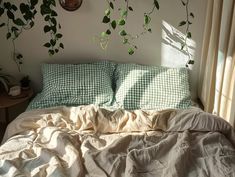 an unmade bed with green plants on the wall above it and a window in the background