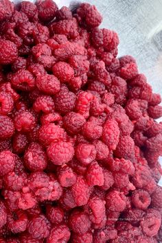 fresh raspberries in a blender ready to be mixed