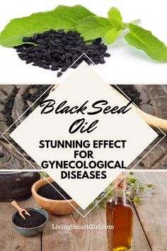 Black Seed Oil Benefits, Candida Yeast Infection, Smart Girl, Holistic Approach To Health, Black Seed Oil, Black Seed, Natural Health Remedies, Natural Home Remedies, Living Tips