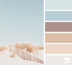 a beach scene with sand dunes, grass and blue sky in color swatches from the top to bottom