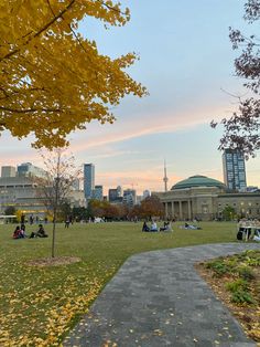 people are sitting on the grass in front of a large building and trees with yellow leaves