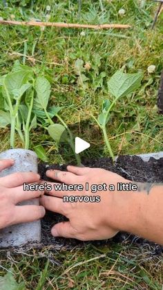 someone is planting plants in the ground with their hands on top of each other's hand