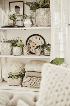 a shelf filled with plants and potted plants next to a clock on top of a wall