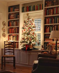 a living room with a christmas tree and many bookshelves in front of it