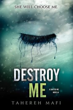 the cover of destroy me by tahreeh mafi, with an image of a black