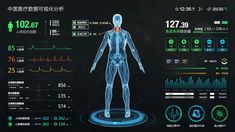 a computer screen with an image of a human body and various medical information on it