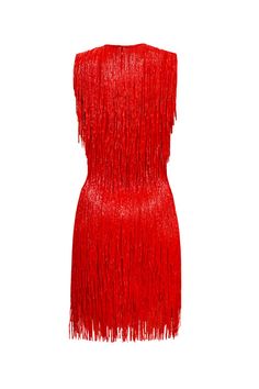 BEADED FRINGE SLEEVELESS DRESS – Naeem Khan Naeem Khan, Beaded Fringe, Pitcairn Islands, British Indian, Turks And Caicos Islands, Trinidad And Tobago, Brunei, Sleeveless Dress, Slip Dress