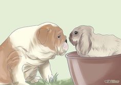 two puppies in a flower pot looking at each other