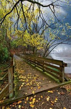 a wooden bridge over a body of water surrounded by trees and leaves on the ground