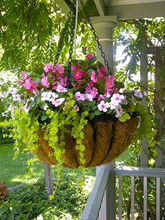 some pink and white flowers are hanging from a potted planter on a porch