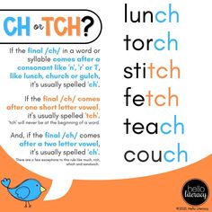 an orange and blue speech bubble with the words lunch or tch? in it