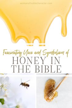 honey in the bible with text overlaying it and images of bees, honey combs, and flowers